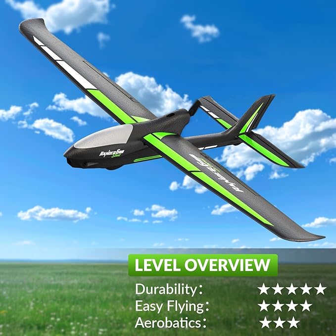 Volantex RC Planes for Every Pilot